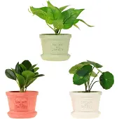 Kaemingk - Kunstplant in Decoratieve Pot - 8x17 cm - Groen - Realistisch Uiterlijk - Onderhoudsvrij