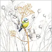 Ambiente Servetten Vogels - 20x stuks - 3 laags - 33 x 33 cm - winter thema - Pimpelmees - wegwerp servetjes