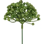 Viana Hortensia knopsteker 22cm groen 12 st