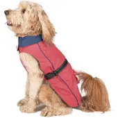 Dog Gone Smart Regenjas voor honden, merk , kleur koraal, maat 50 cm