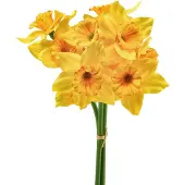 Viana Narcissen decoratie kunstbloemen gele narcissen 38cm 3 st