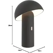 Lumisky Cordless table lamp - - TOD BLACK - H28 cm - Adjustable head - Warm white LED