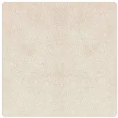 vidaXL Antislip Shaggy Tapijt Crème 120 x 120 cm PP