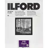 Ilford Multigrade Rc Deluxe Pearl 24x30,5cm 50 Vel