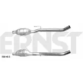 ERNST 750455 Katalysator