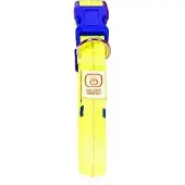 Duvo+ Halsband Nylon Flash Leucht USB