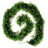 Viana Buxus Slinger Groen L170cm