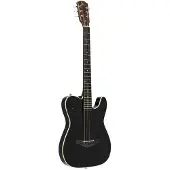 J.N Guitars EW3000CBK solid body elektrisch akoestische westerngitaar