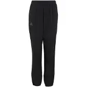 Adidas Outdoor broek 'Clima365' grijs / zwart