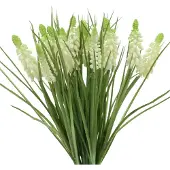 Viana Druivenhyacinten in bos wit 30cm 15 st