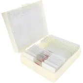 Konus Preparaten Set Bacterieën, Simpelen Organismen (10 Stu