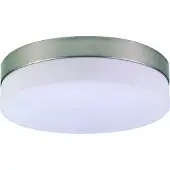 Globo Nikkel Plafondlamp Opal Ø 24cm