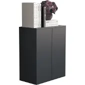 VCM Dalosa2 dressoir 2 deuren antraciet.