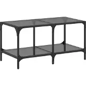 vidaXL Salontafel met glazen blad, zwart, 78,5 x 40 x 40 cm, staal