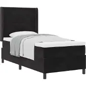 vidaXL Boxspring bed met hoofdeinde Zwart 100 x 200 cm Fluweel