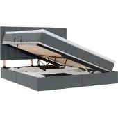 vidaXL Opslag bed met matras Donkergrijs 160 x 200 cm Fluweel