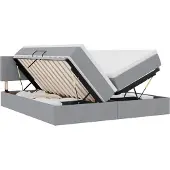vidaXL LED opbergbed met matras Lichtgrijs 200 x 200 cm Stof