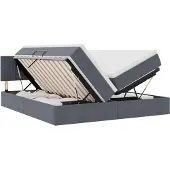 vidaXL LED opbergbed met matras Donkergrijs 200 x 200 cm Fluweel