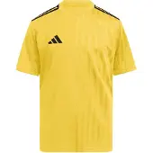 Adidas Campeon 25 Trainingsset Kids