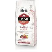 Brit Fresh Beef &amp; Pumpkin Puppy Large Breed 12 kg