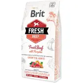 Brit Vers Rundvlees Met Pompoen Junior Hondenvoer 2.5kg