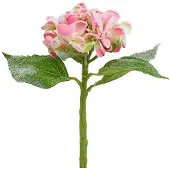 Viana Hortensia roze met sneeuw 33cm 4 st