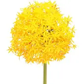 Viana Allium Gele Bloem Kunstui 80cm Ø14,5cm 2st