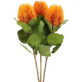 Viana Kunstbloemen, Banksia, Proteaceae Oranje L58cm H6cm 3 stuks