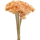 Viana Duizendblad kunst kunstbloemen oranje 50cm 5st in bos, 5 stuks