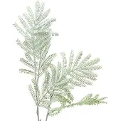 Viana Siertak mimosa groen frost effect 63cm
