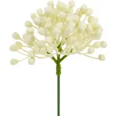 Viana Hortensia knopstoker 22cm crème 12st