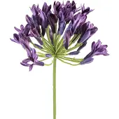 Viana Agapanthus kunstbloemen paarse decoratie lelies 75cm 2 stuks