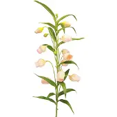 Viana Lantaarn Lelie Kunstbloem Lelie Abrikoos 90cm 2st