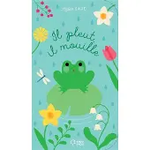 Didier Jeunesse IL PLEUT IL MOUILLE