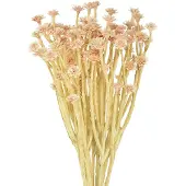 Viana Italiaanse Strobloem Kunstbloemen Roze L28cm, 12 stuks