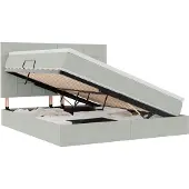 vidaXL Opslag bed met matras Lichtgrijs 160 x 200 cm Fluweel