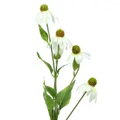 Viana Echinacea bloem kunstmatig wit 90cm