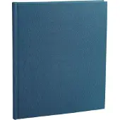 Exacompta Speciaal Register- Registratie van de Post - 32x27cm - 26 lijnen - 200 blad - Blauw - 4402E