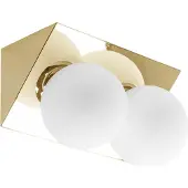 Toolight Gouden wandlamp - modern & tijdloos - 13 x 13 cm - sfeervolle verlichting