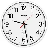 Peweta Radiografische wandklok, ø 300 mm, matzilver