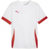 Puma Functioneel shirt 'TeamGoal Matchday' rood / wit