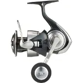Daiwa 24 Certate SW(G) 6000-H zeevissmolen