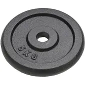 vidaXL Halterschijven 4 st 4x5 kg gietijzer