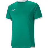Puma Functioneel shirt 'TeamLIGA' smaragd / wit