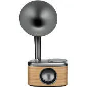 Sangean Radio DAB+ CP100DBG