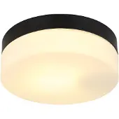 Globo 32111B, Aluminium, Glas, IP44, E27, 60 W, 230 V