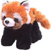 Wild republic , rode panda, knuffeldier