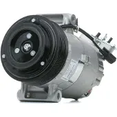 Delphi TSP0155928 Aircopomp
