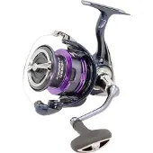 Daiwa Prorex X 24 Lt Spinning Reel Zilver 4000C