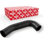 FEBI BILSTEIN 107551 Radiateurslang
